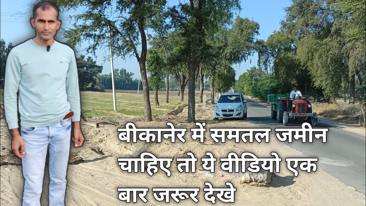 बीकानेर में समतल जमीन।बीकानेर में गेहूं की खेती।क्या बीकानेर में समतल जमीन है?  धोरों में समतल जमीन