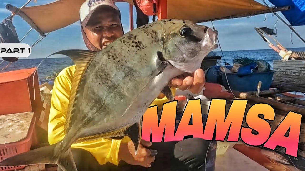 P1 - MAMSA