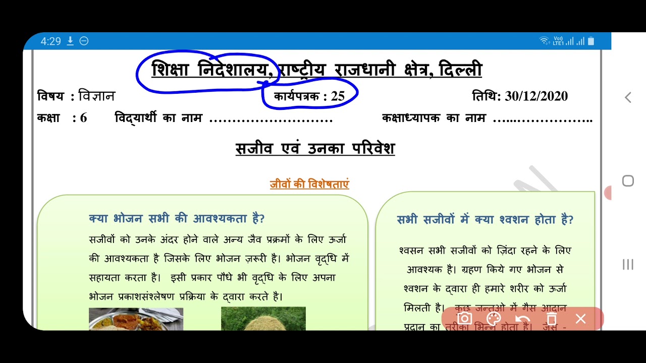 science worksheet 25 class 6 (30/12/20) hindi medium/class 6 worksheet science25/science worksheet25