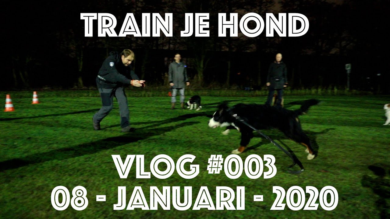 TRAIN JE HOND // Kijk mee hoe Olivier de basiscursus hondentraining geeft // VLOG #003