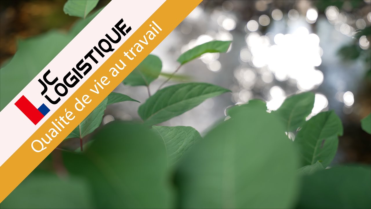 QVT Chez JC Logistique