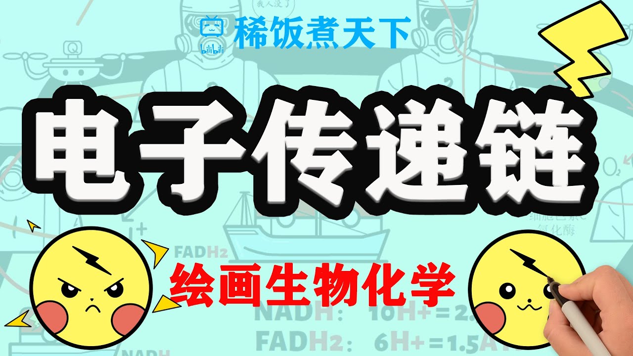 【绘画生物化学】电子传递链 氧化磷酸化 细胞呼吸