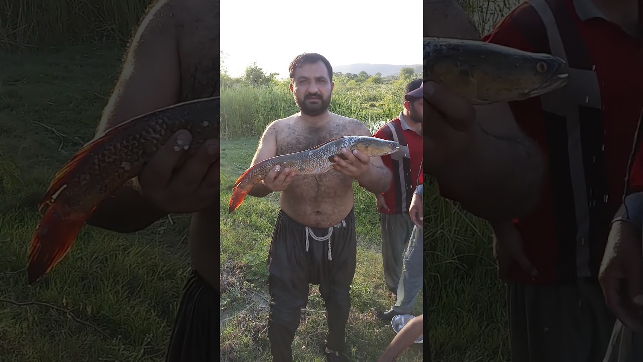 kohat fish hunting🐠#ytshort #fish picture💥