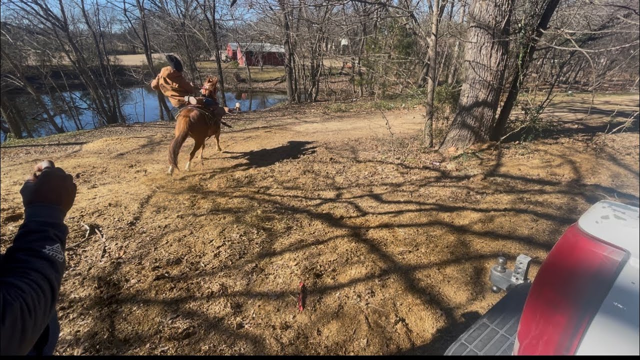 Weekly vlog (Must Watch) camera man tryna learn how to ride 🤯😂 Rodeo season need to hurry 