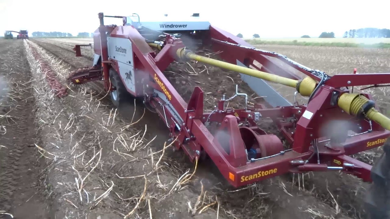 ScanStone Osprey Windrower -  2014 (Evolution cleaning table)