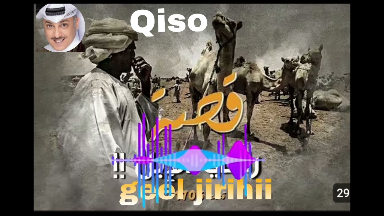 Qiso sucudia arabia ninkii geel jiraha aha @fardowsofalsan 