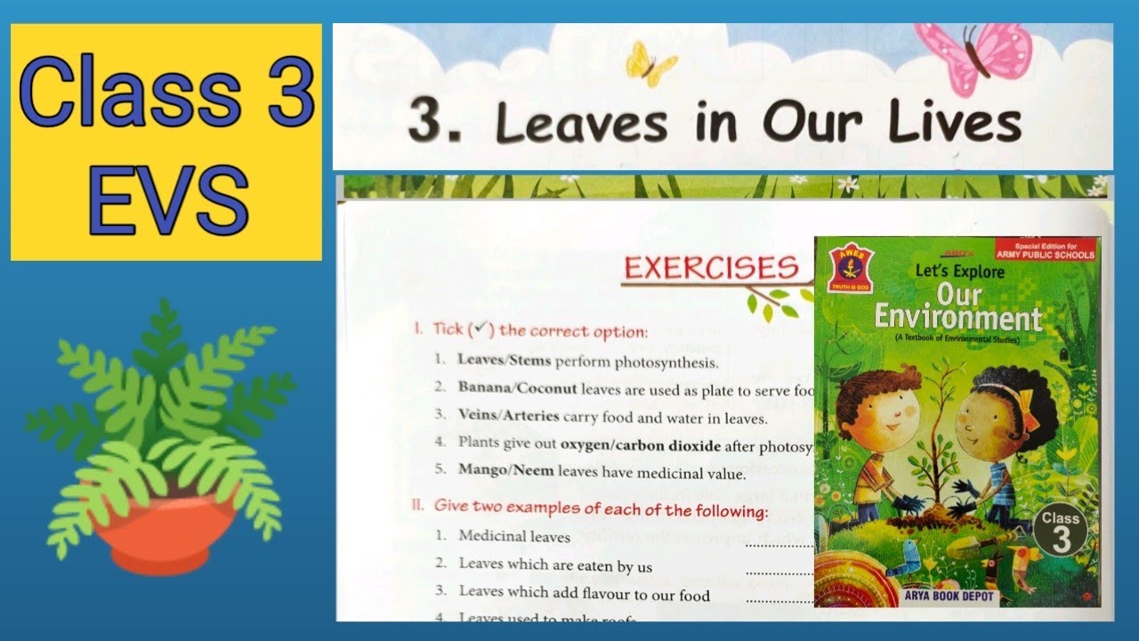 Exercises - Leaves 🌿 in Our Lives 🙋| Class 3 EVS Chapter 3 | Reading and Explanation #aps