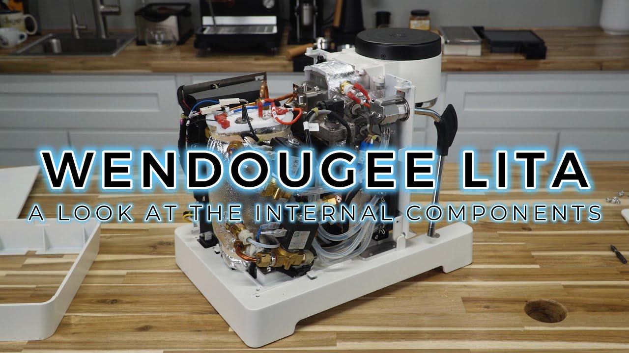 Wendougee LITA - A Look At The Internal Components