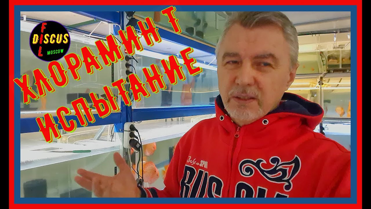 ДИСКУСЫ. ХЛОРАМИН Т и его ИСПЫТПНИЕ