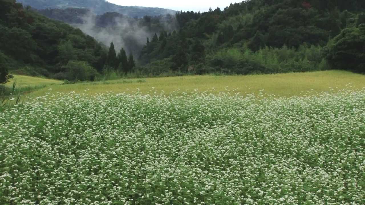 島を愛する元気な酪農家（全編21分）