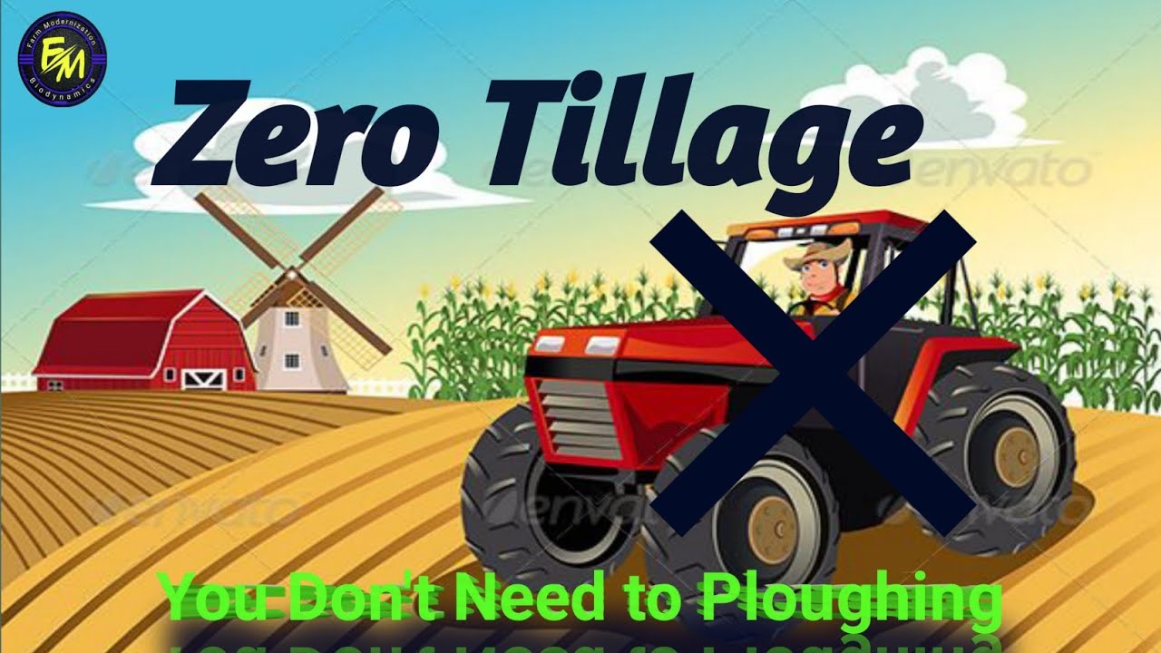 Zero Tillage in Biodynamic Farming || How to Save 1000 $ on Land Preparation || No_Tillage   Farming