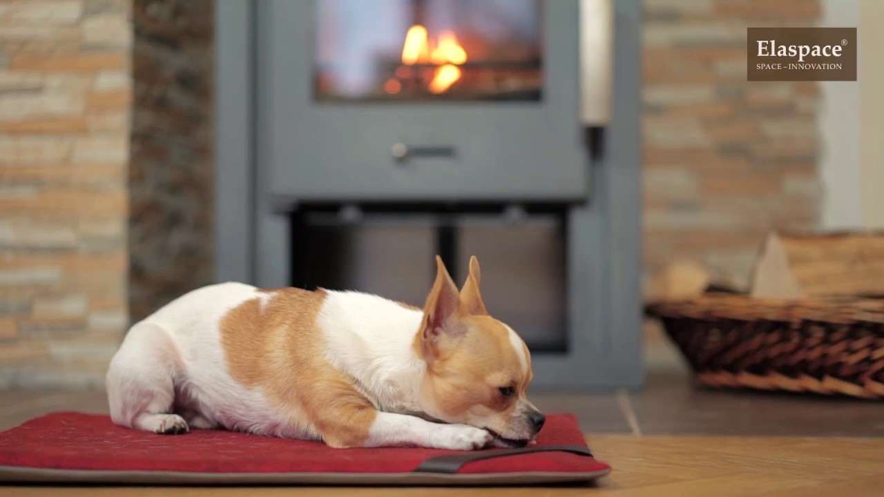 ELASPACE Hundedecke