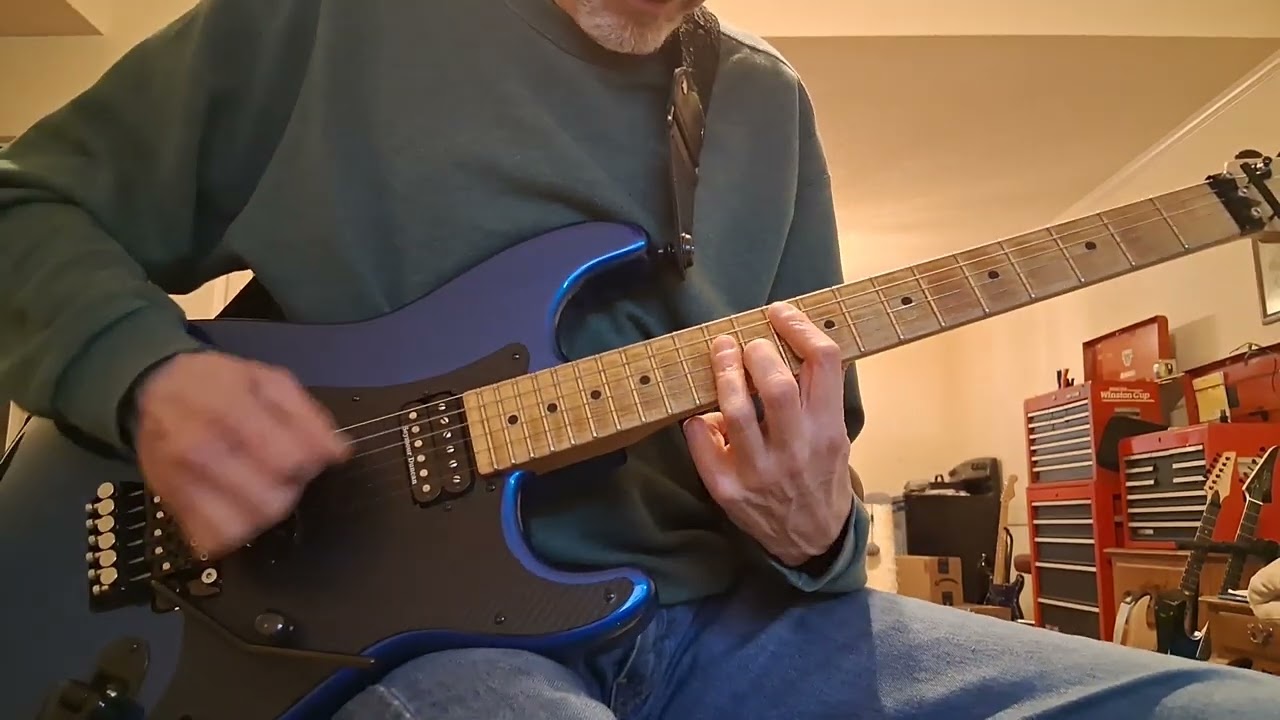 Cover of intro to Wasted Years 