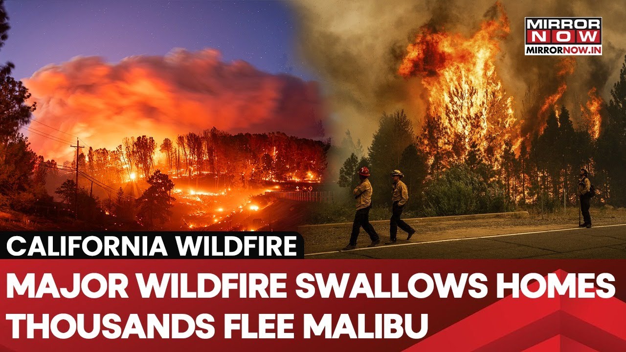 Franklin Fire Forces Thousands To Evacuate In Malibu; Hollywood Stars' Homes Under Threat | Watch
