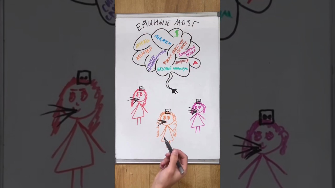 У ТП идиоток единый мозг😂 #мд #чсв #тп #рсп #мужскоедвижение #отношения #психология #женщина #позор