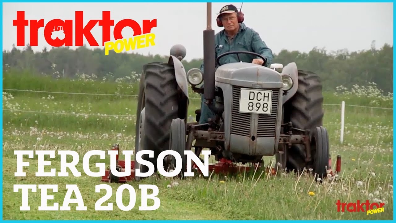 Betesputsning med Ferguson - Grållen