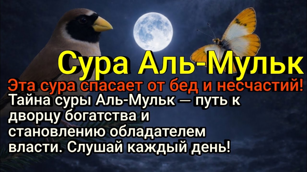 Тайный путь к богатству и успеху в развитии твоего бизнеса