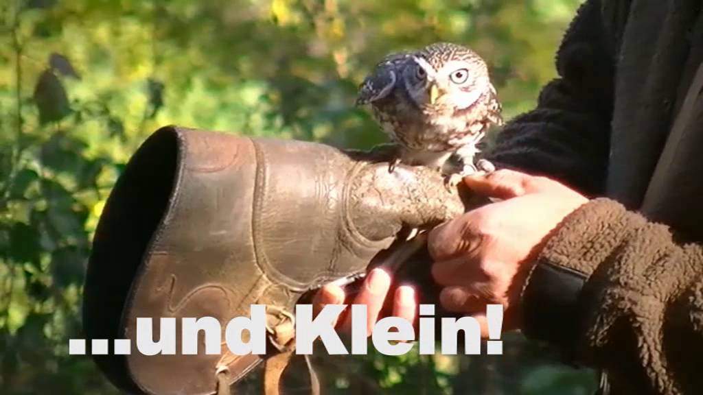 Greifvogelpark Saarburg Trailer 2015