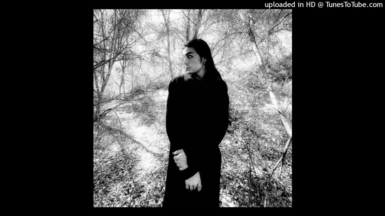 Paris Shadows - Jaded [LEAK]