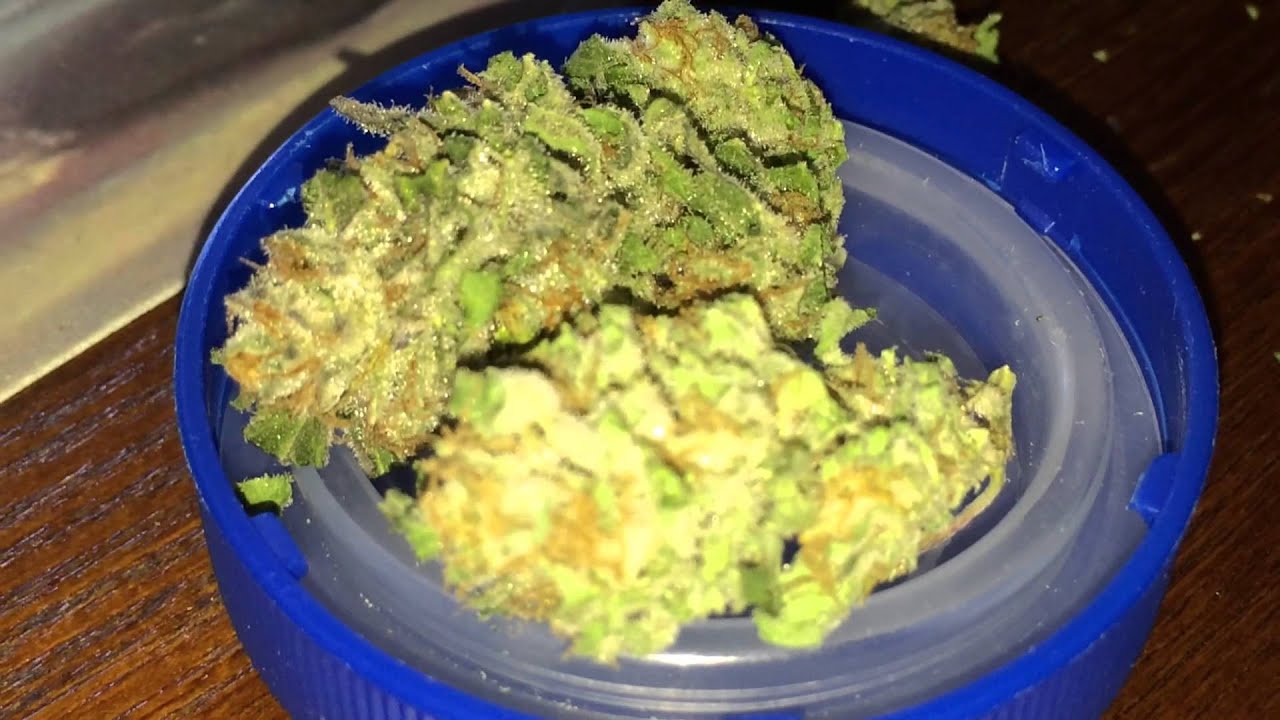 Flo Cannabis Review 2014 Colorado