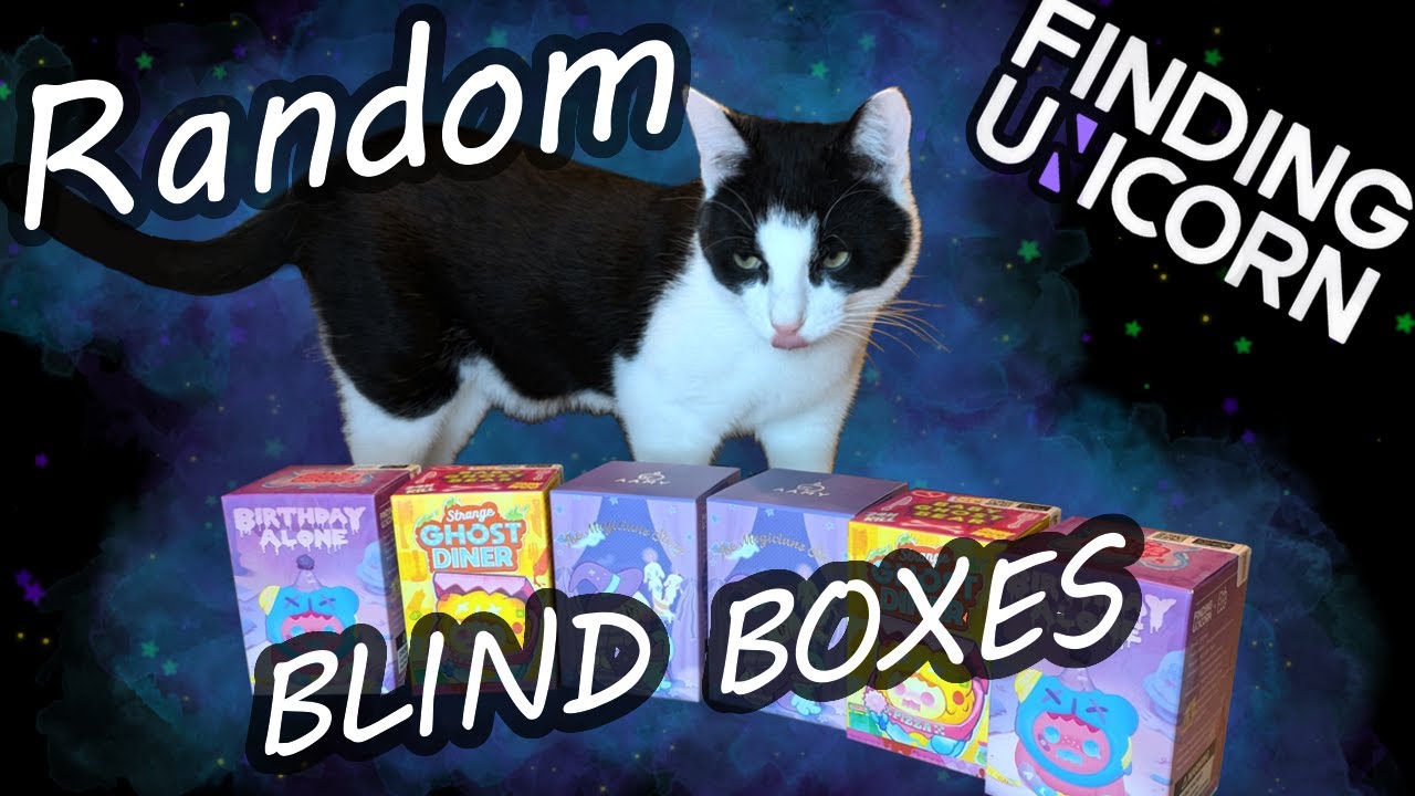 RANDOM MYSTERY UNBOXING! Shinwoo & Aamy x F.un!