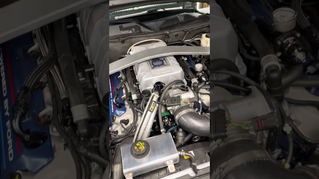 Predator Blower Swap Dyno Numbers on a Gen 3 Aluminator 9.5:1 with VMP Performance Parts and Tuning!