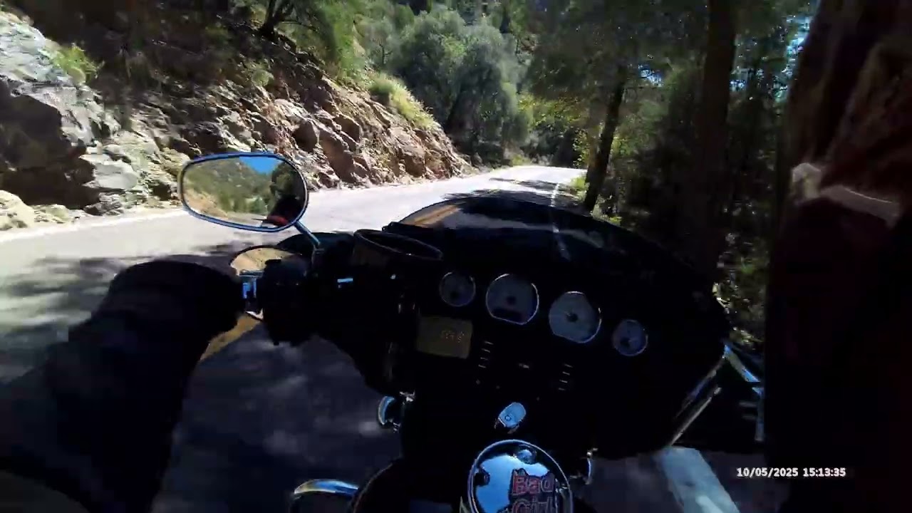 Bikers for bikers—let’s make every ride unforgettable. The open road is calling! #naturelovers