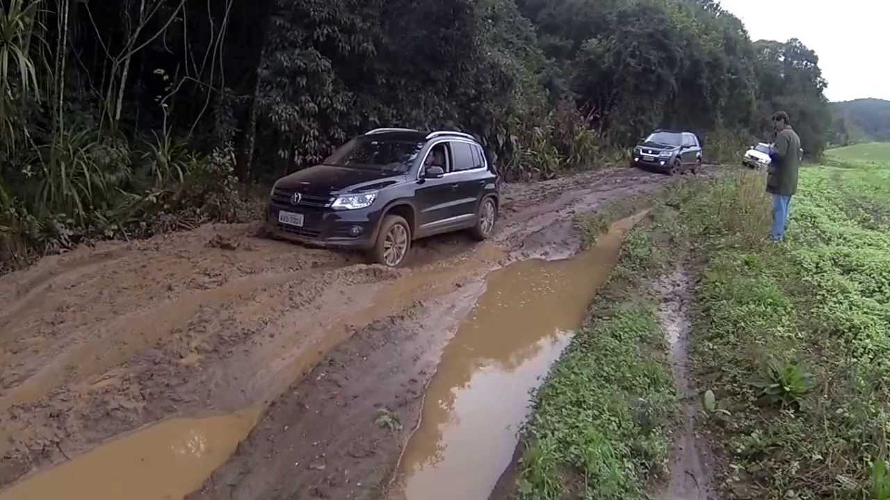 TIGUAN GINO