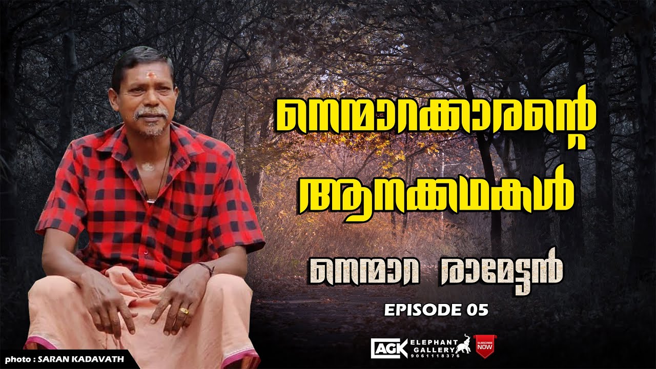 നെന്മാറക്കാരന്റെ ആനക്കഥകൾ |നെന്മാറ രാമൻ| PART-05