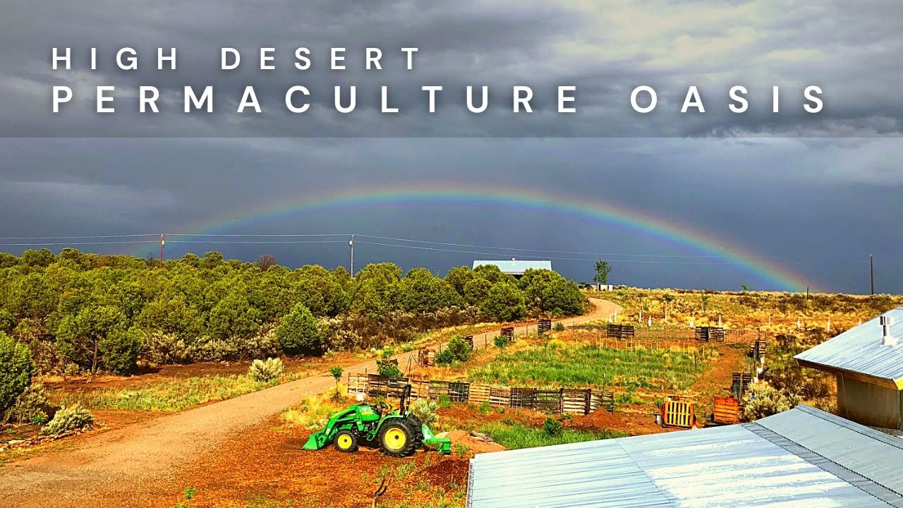 Couple Builds A High Desert Permaculture Oasis | 