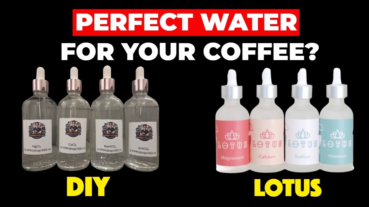 Easy Ways to Make The Perfect Water for your Coffee
