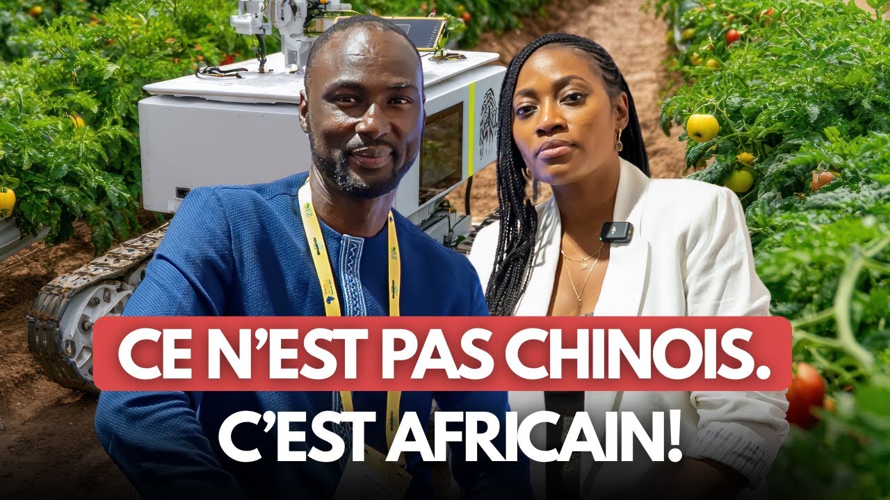 Un génie Africain?! 