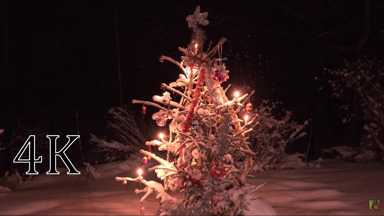 Snow fall + sound of Fireplace & Christmas music (Outdoor snow-covered  Christmas tree )2H 4K