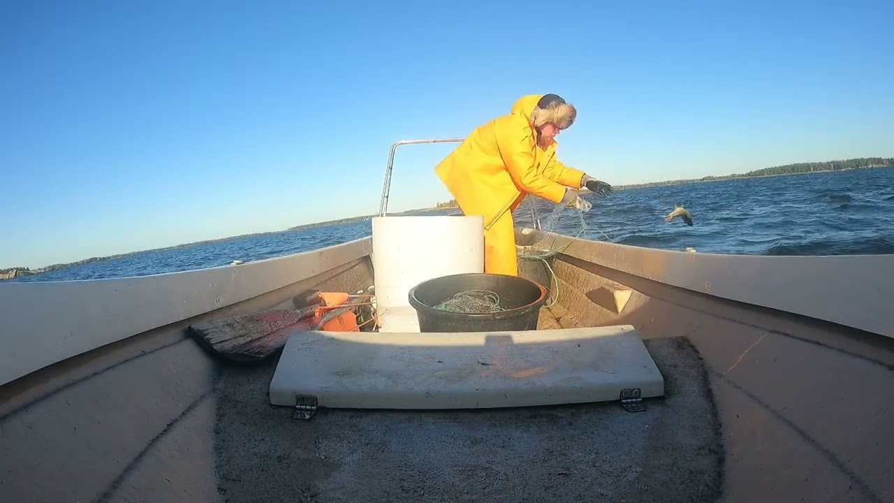 Siikaverkoilla Merellä