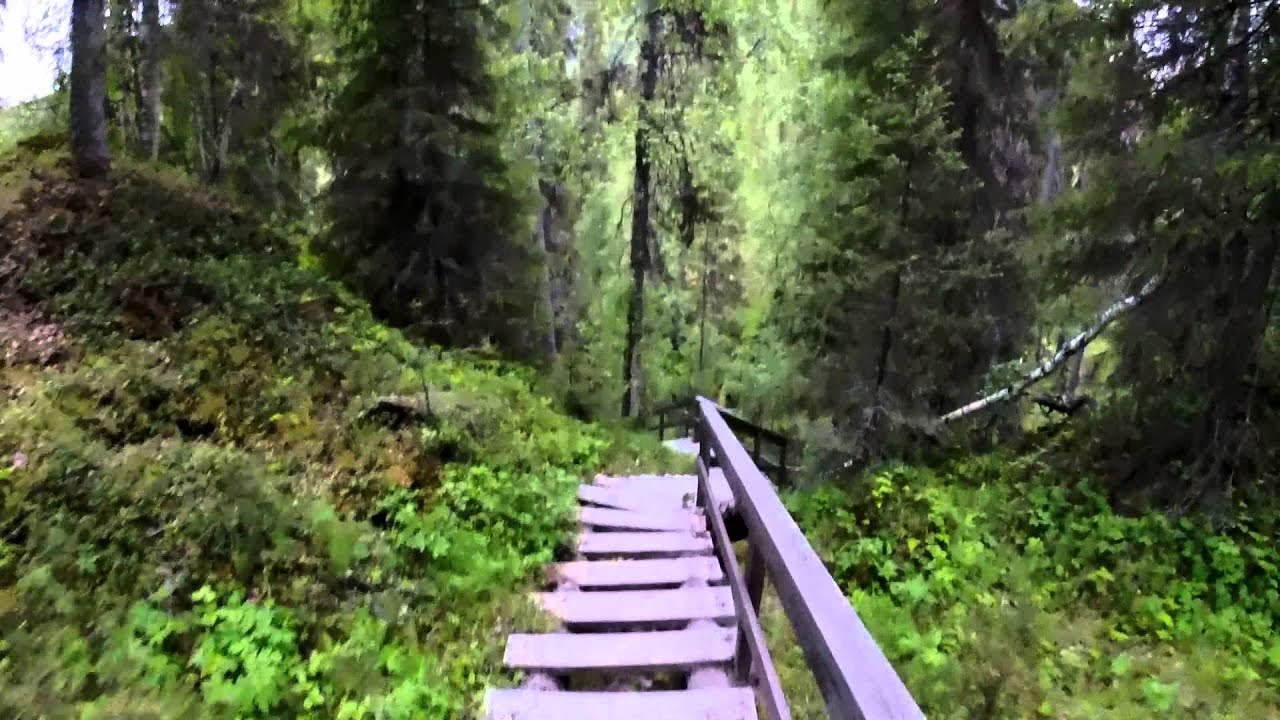 Karhunkierros-challenge, osa 2/3 - 80 km 24 tunnissa - onnistuuko? (videolla toinen 28,5 km)