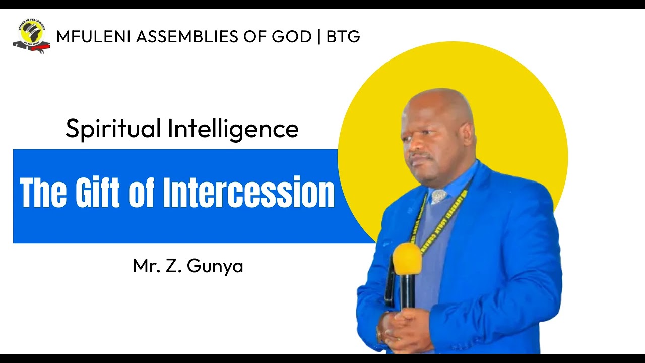 Mr  Z  Gunya   Spiritual Intellingence *Audio*