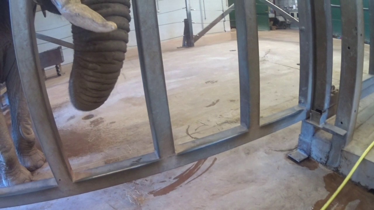 Uge 2 i Paignton Zoo