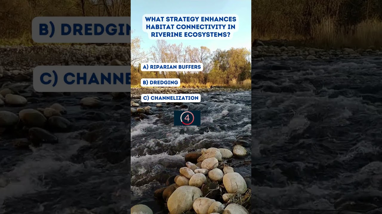 Riverine Habitat Connectivity