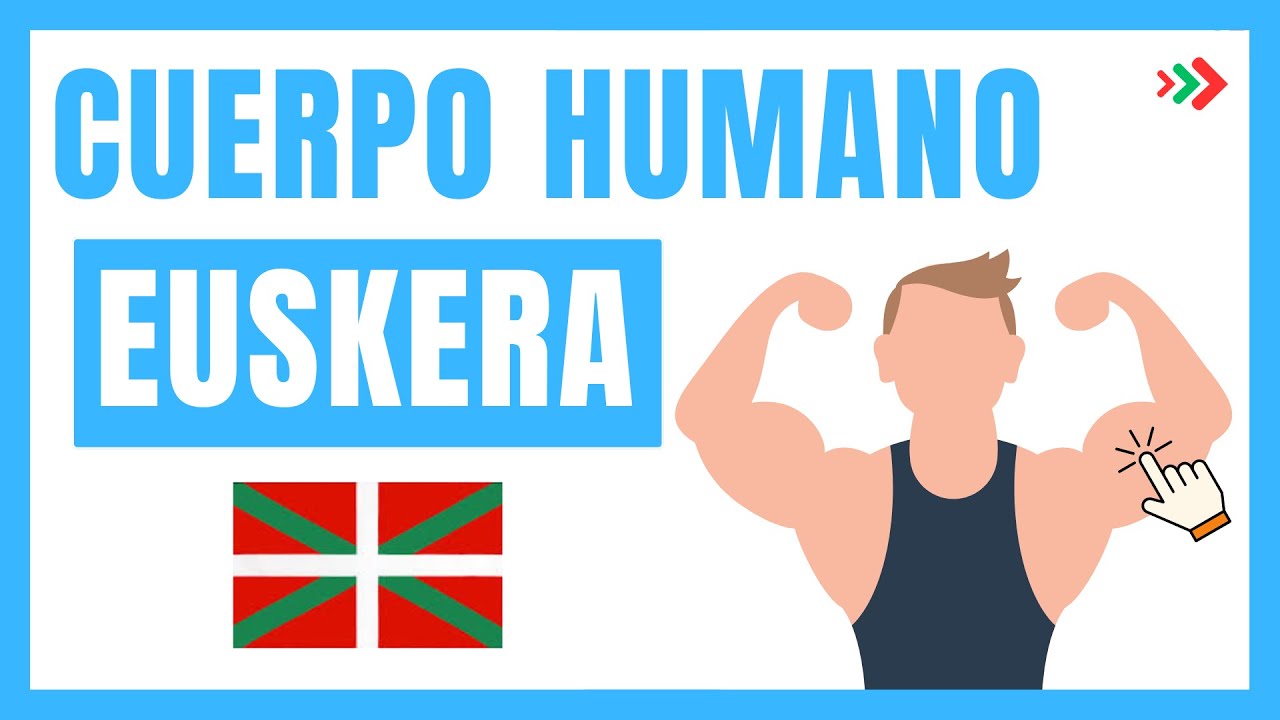¡Conoce las Partes del Cuerpo en Euskera! 👨‍🦱