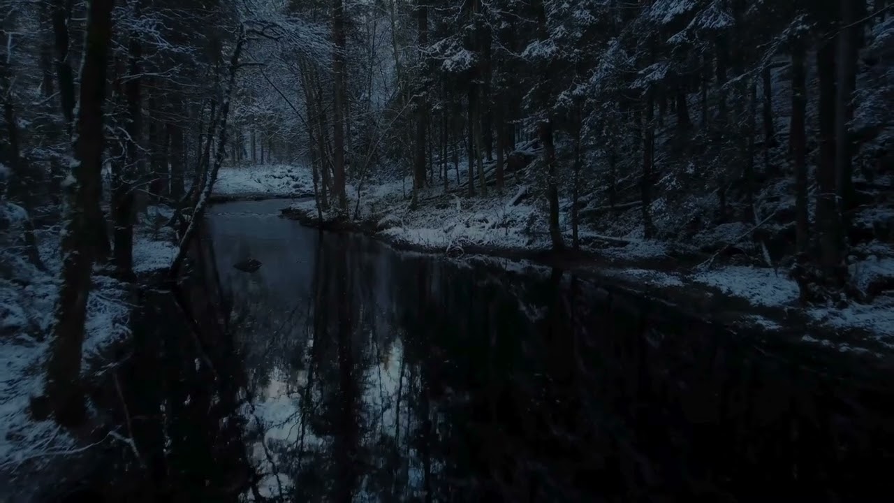 Winter Serenity: Relaxing Snow Forest & Flowing River