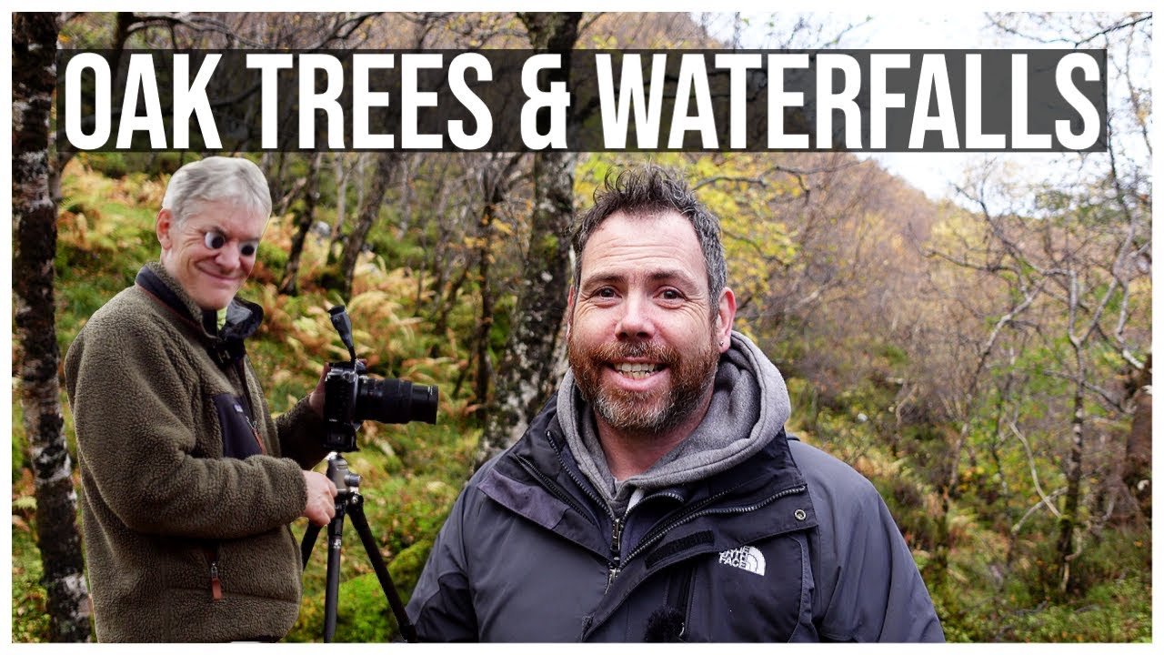 LANDSCAPE PHOTOGRAPHY trees and waterfalls