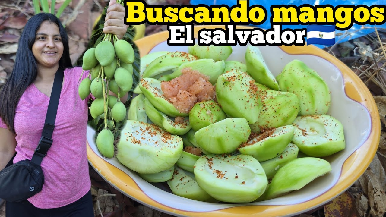 🔴BUSCANDO MANGOS DULCES EN EL CERRO CUANTOS SE ACUERDAN EL SALVADOR🇸🇻