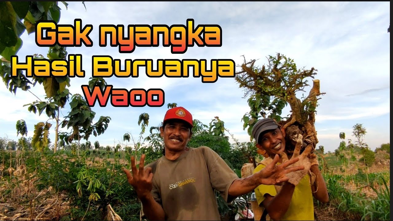 Gak nyangka Hasilnya Buruanya Huwao..