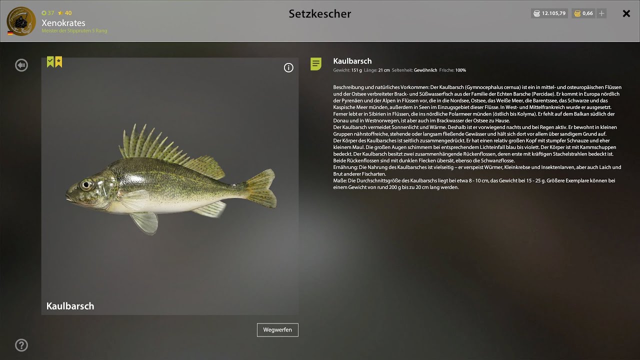 Russian Fishing 4. Kaulbarschtrophy Und der Stachler an der Achtuba. (Stippe)