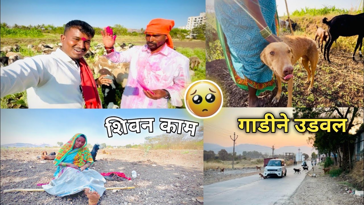 वाटणी जातानी एका चारचाकी गाडीने||🥹 एक कुत्रच उडवल चुकी नेमकी कोणाची