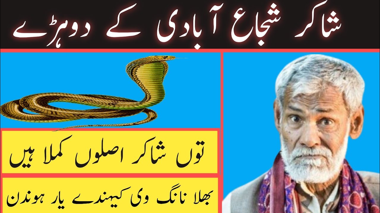 توں شاکر اصلوں کملا ہیں بھلا نانگ وی کیندے یار ہوندن|شاکر شجاع آبادی شاعری|shakir shuja abadi poetry