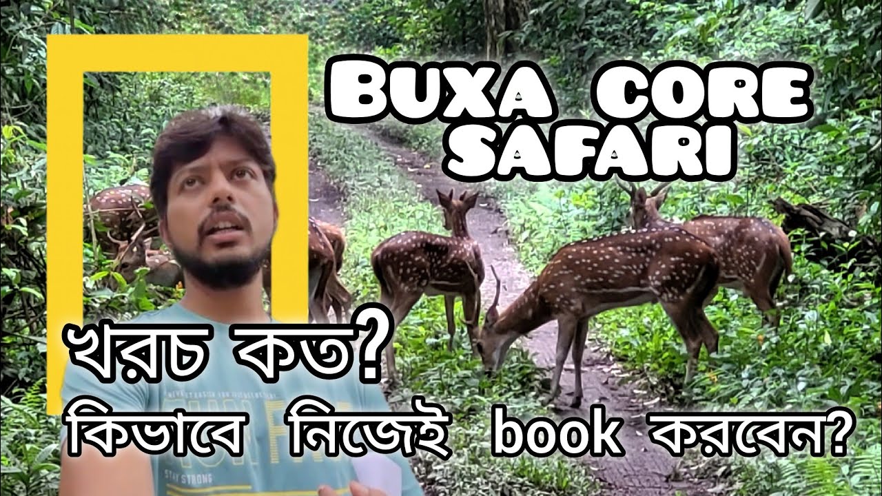 Buxa Tiger Reserve Core Safari ||  কিভাবে নিজেই book  করবেন? খরচ কত?Detailed video. 4K #vlog 65