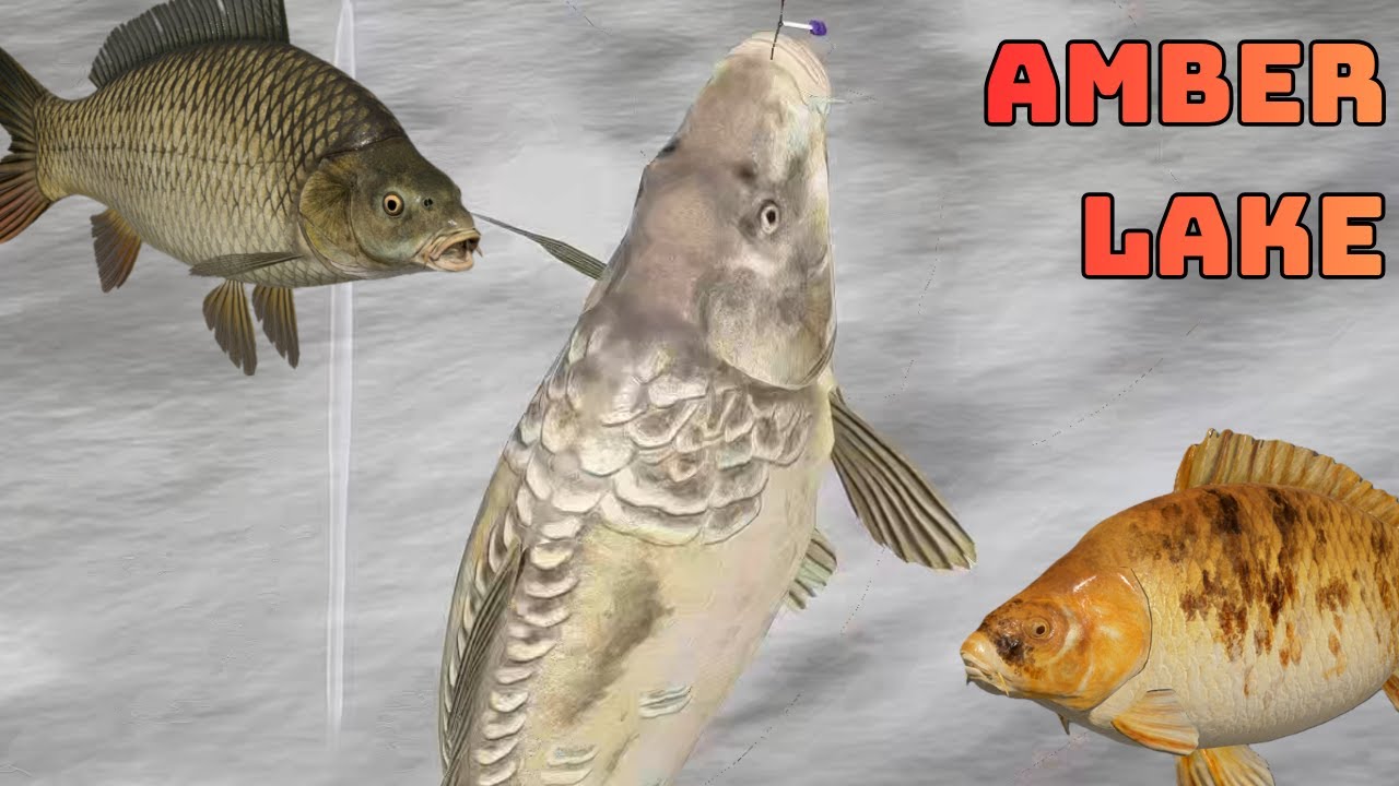 AMBER LAKE Color CARP SPOT NO PVA (274) Russian Fishing 4 RF4