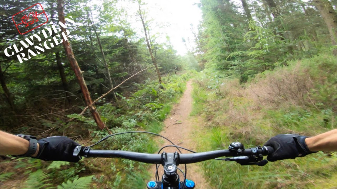 Flintshire & Denbighshire Wales Mountain Biking