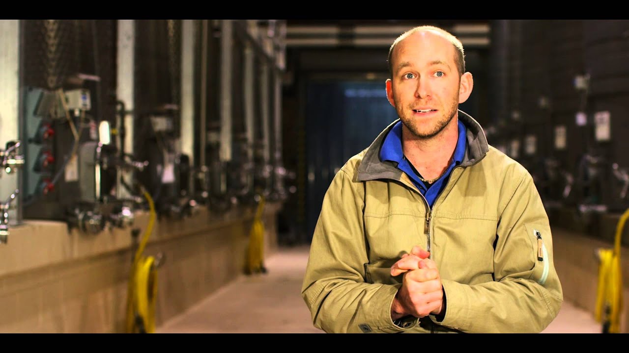 Rombauer Vineyards Cabernet Sauvignon and Merlot